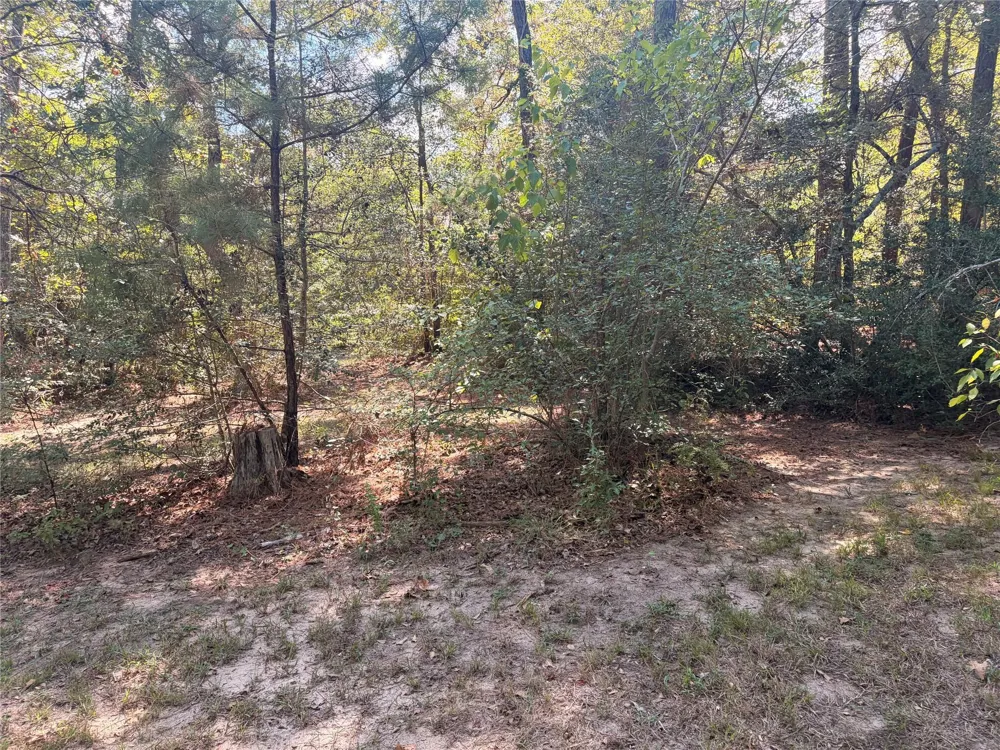313 Pine Brook Drive Montgomery, TX 77356