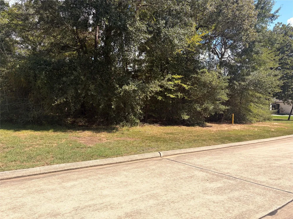 313 Pine Brook Drive Montgomery, TX 77356