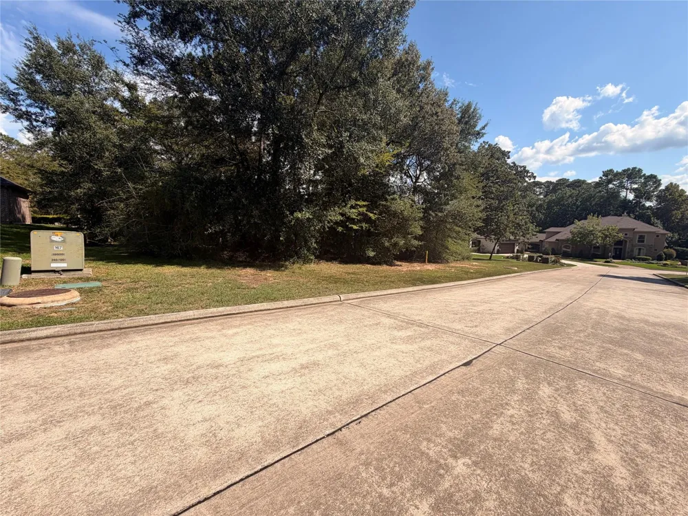 313 Pine Brook Drive Montgomery, TX 77356