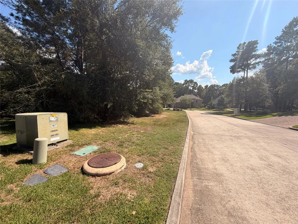 313 Pine Brook Drive Montgomery, TX 77356