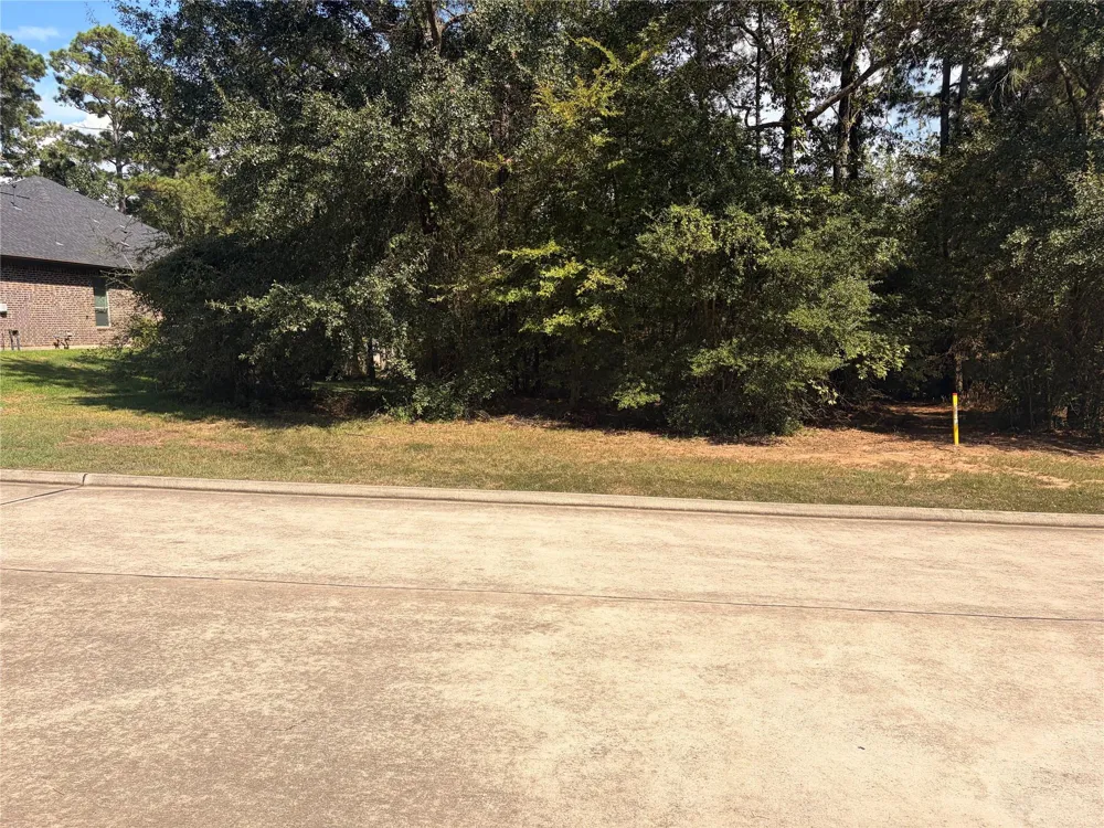313 Pine Brook Drive Montgomery, TX 77356