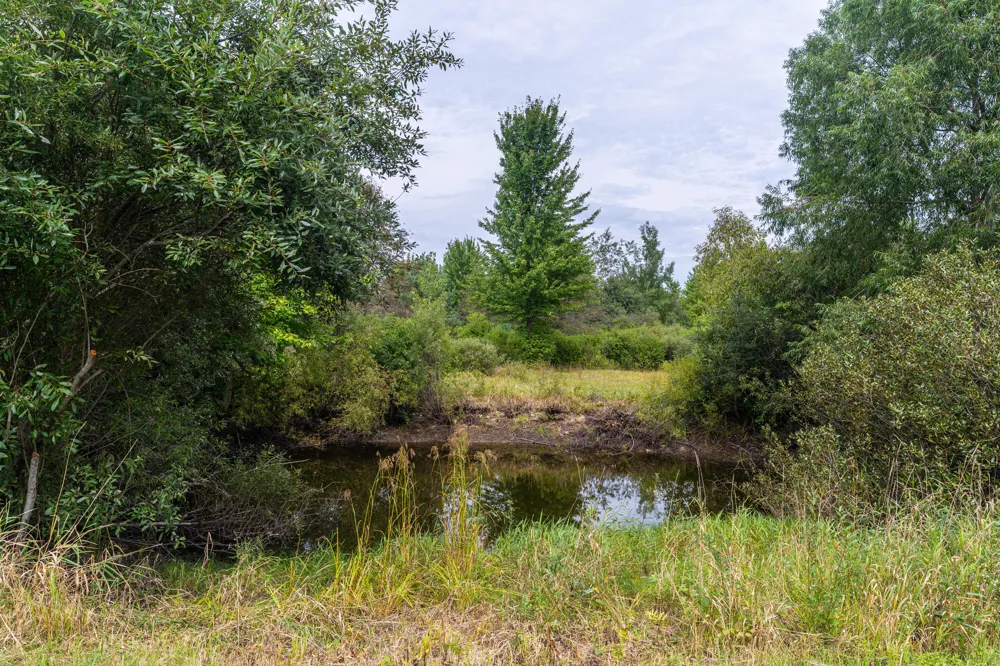 928 E Riley-Thompson Road Muskegon, MI 49445