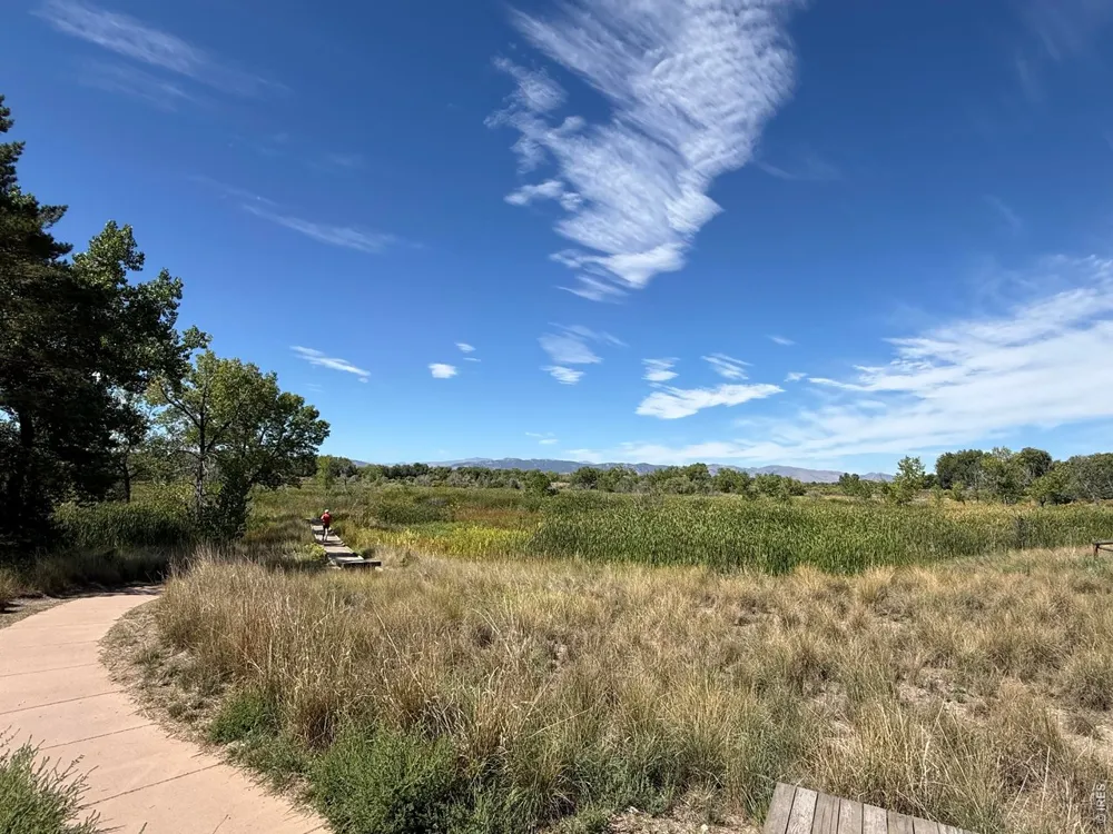 728 Rene Drive Fort Collins, CO 80524