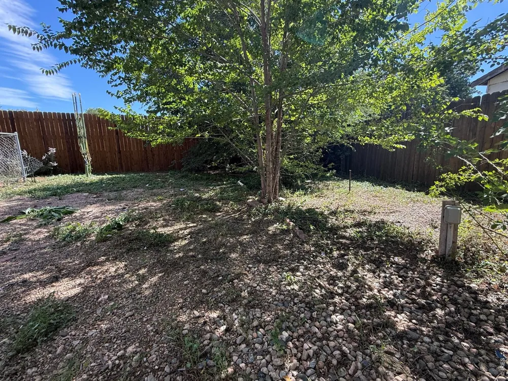 728 Rene Drive Fort Collins, CO 80524
