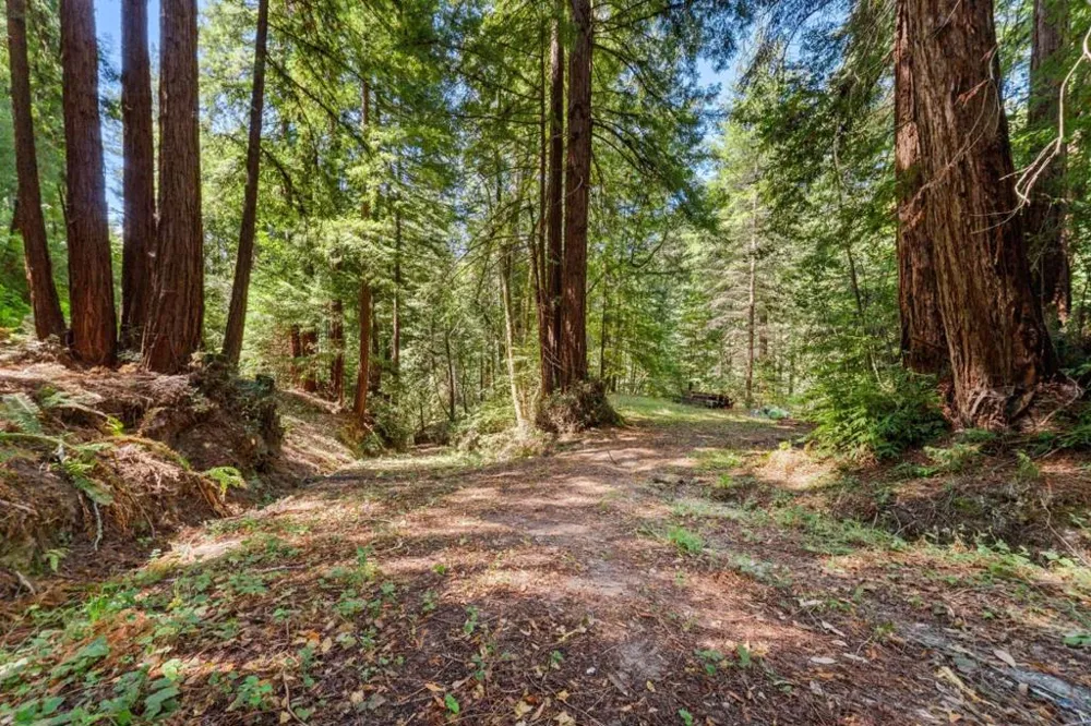 355 Granite Ridge Drive Santa Cruz, CA 95065