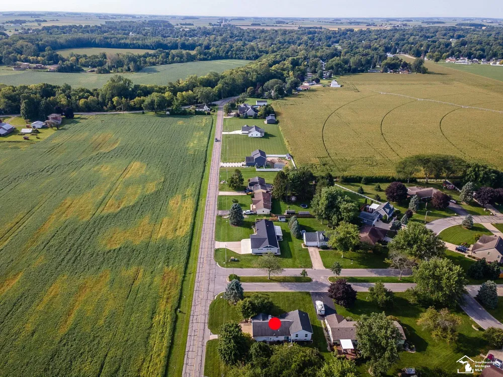 402 East Boulevard Blissfield Village, MI 49228