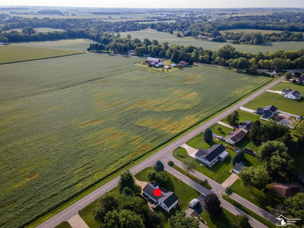 402 East Boulevard Blissfield Village, MI 49228