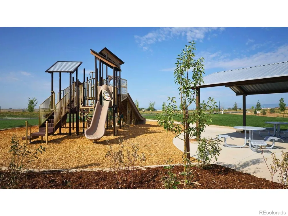 1923 Sorghum Way Johnstown, CO 80534