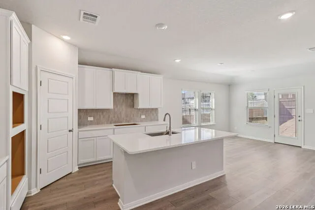 1419 Arcas Way San Antonio, TX 78245