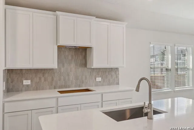 1419 Arcas Way San Antonio, TX 78245