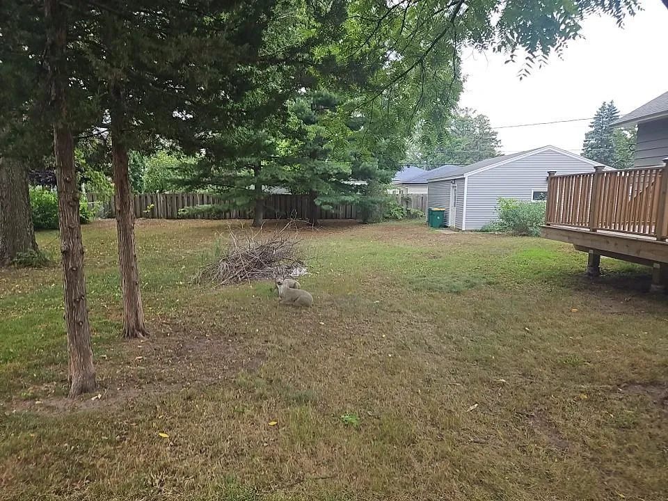 5553 Emerson Avenue Brooklyn Center, MN 55430