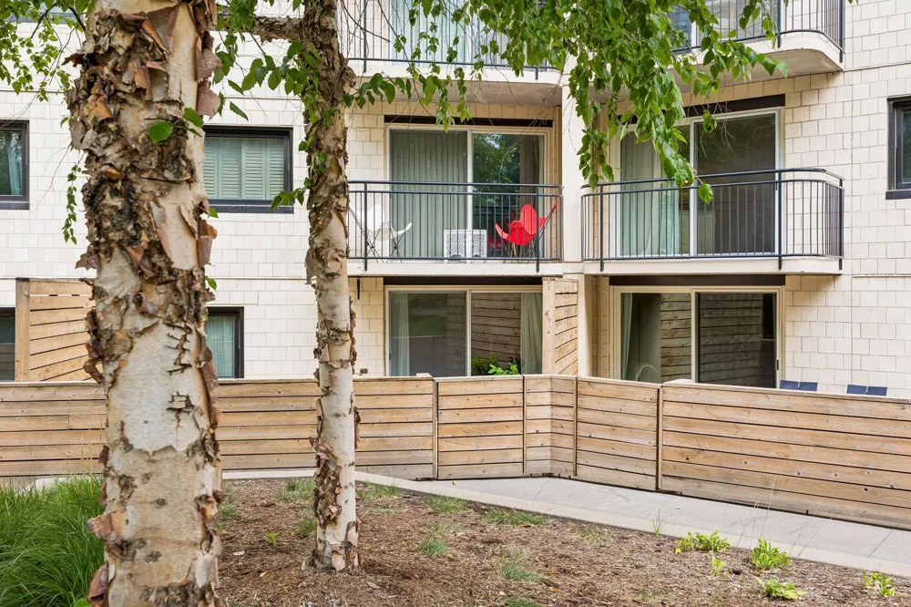 1200 Nicollet Mall #307 Minneapolis, MN 55403
