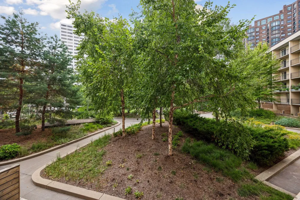 1200 Nicollet Mall #307 Minneapolis, MN 55403