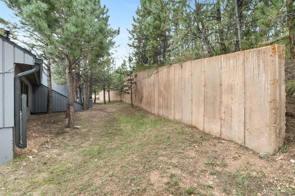 29713 Troutdale Scenic Drive #A2 Evergreen, CO 80439