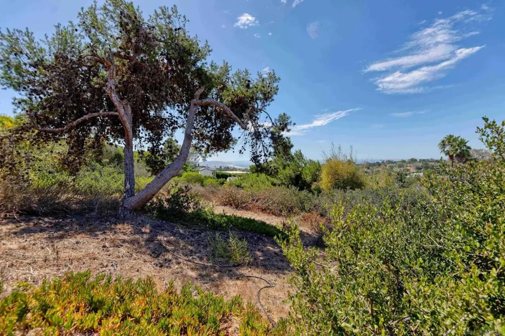 6381 Castejon La Jolla, CA 92037