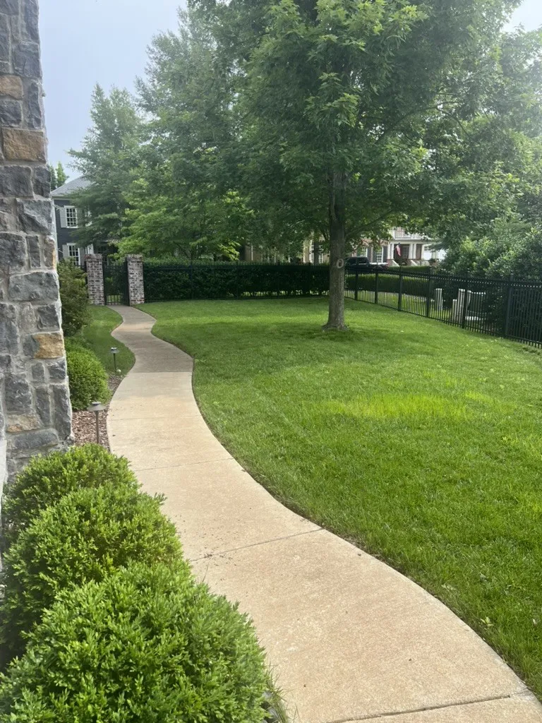125 Addison Ave Franklin, TN 37064