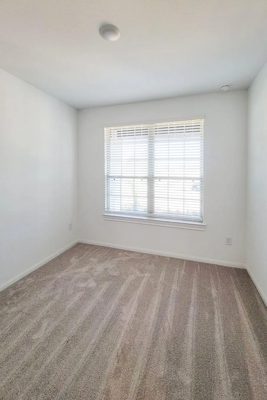 25737 Damask Drive Magnolia, TX 77355