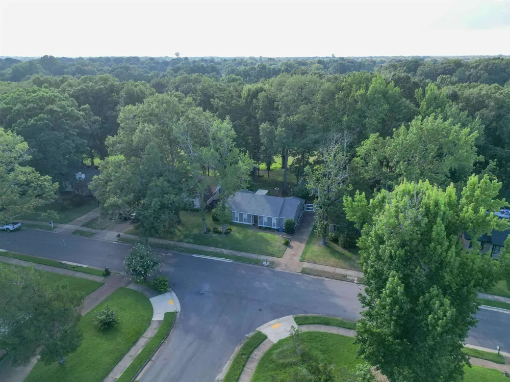 9156 GAINSBOROUGH DR Lakeland, TN 38002