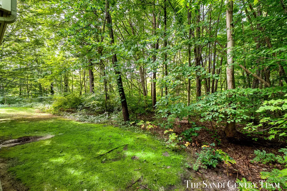 14892 Equestrian Lane Spring Lake Township, MI 49456