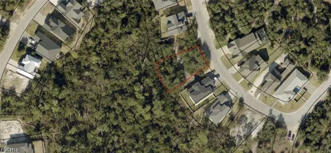 Magnolia Bluff Lane