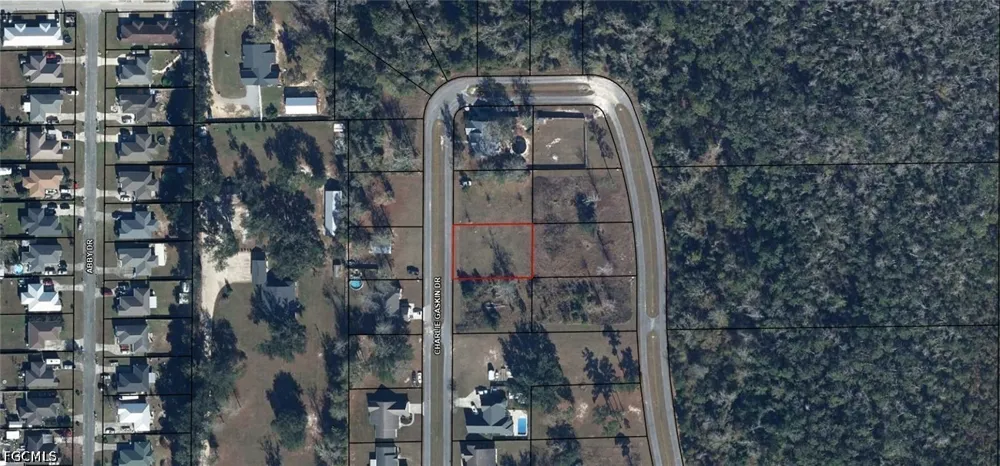 Charlie Gaskin Drive Wewahitchka, FL 32465