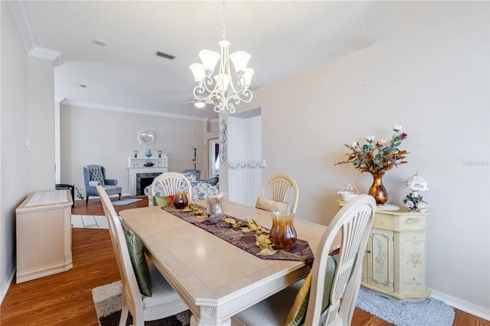 1009 LA MESA LANE Lady Lake, FL 32159