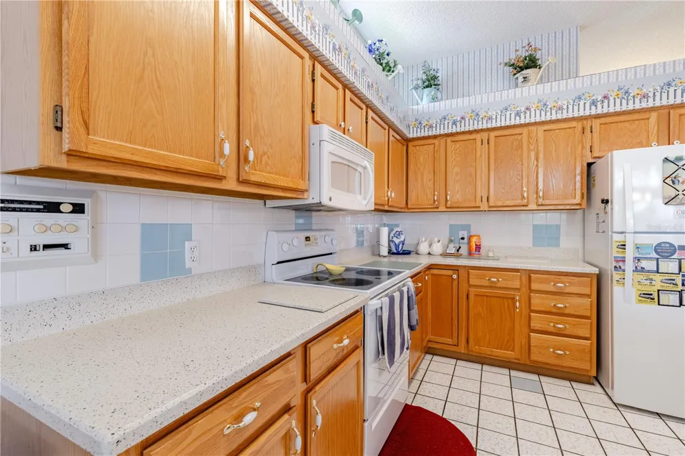 1009 LA MESA LANE Lady Lake, FL 32159