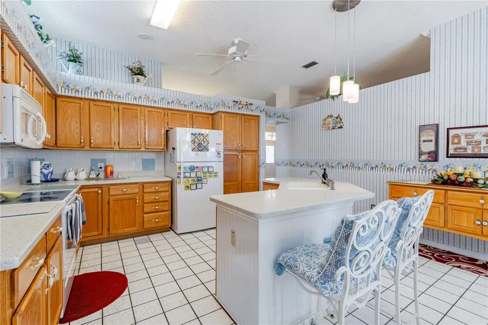 1009 LA MESA LANE Lady Lake, FL 32159