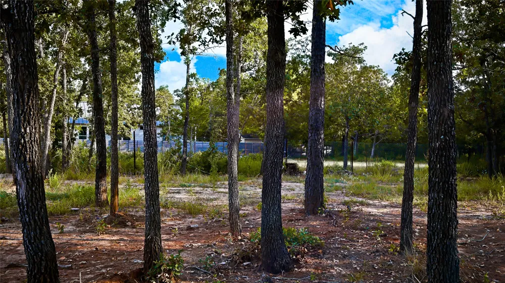 King Street Bastrop, TX 78602