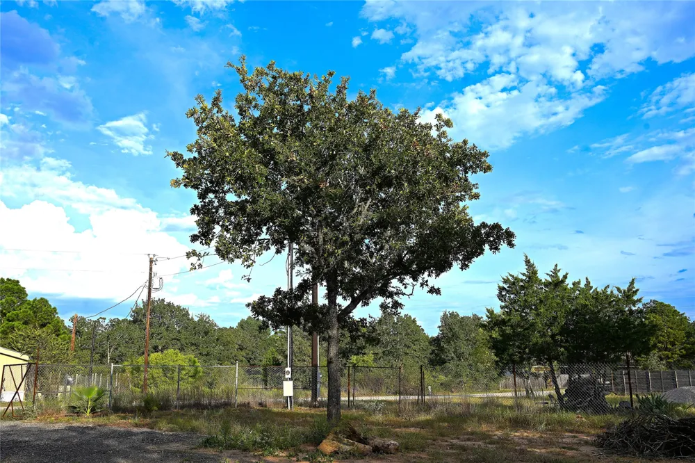 King Street Bastrop, TX 78602