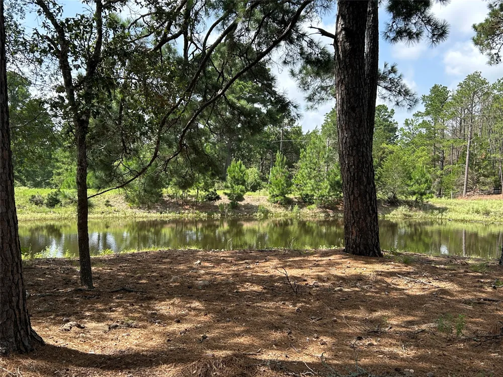 5455 Us-77 Highway La Grange, TX 78945