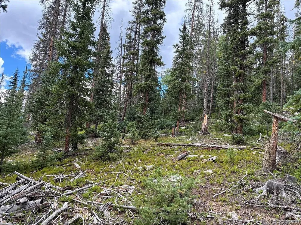 LOT 6621` Clinton Road San Luis, CO 81152