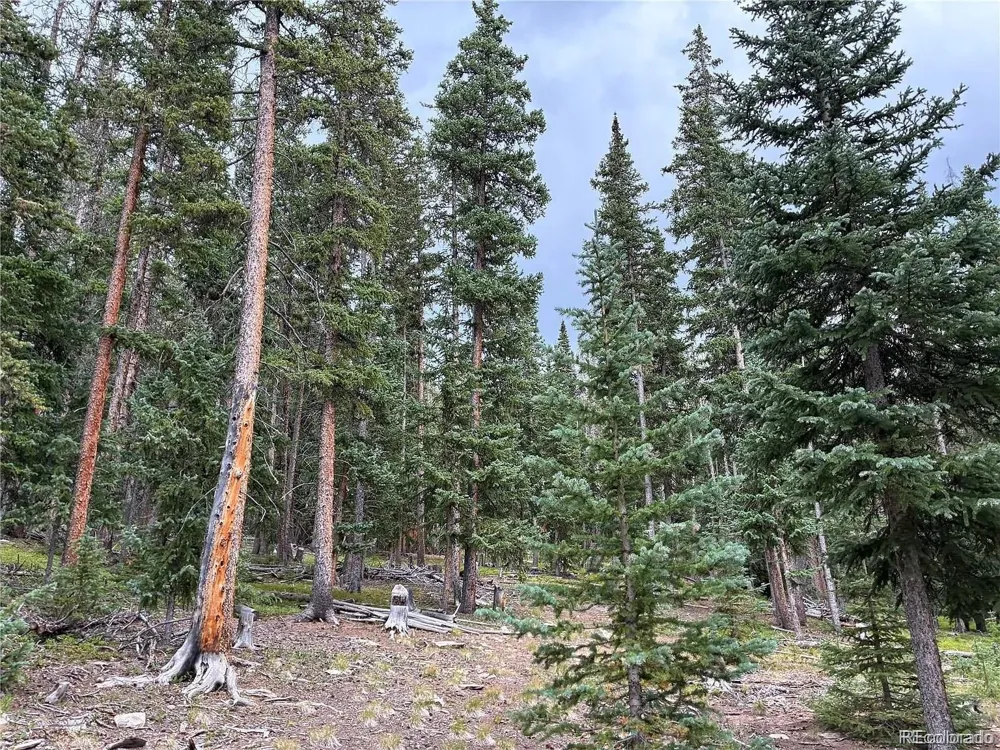 LOT 6621` Clinton Road San Luis, CO 81152