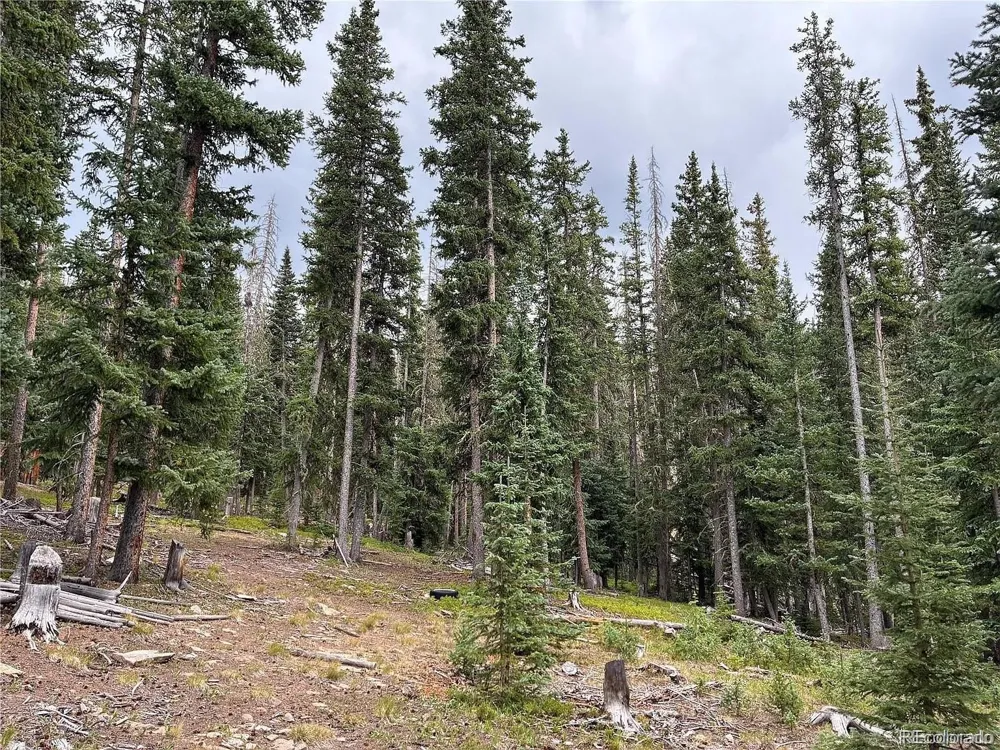 LOT 6621` Clinton Road San Luis, CO 81152
