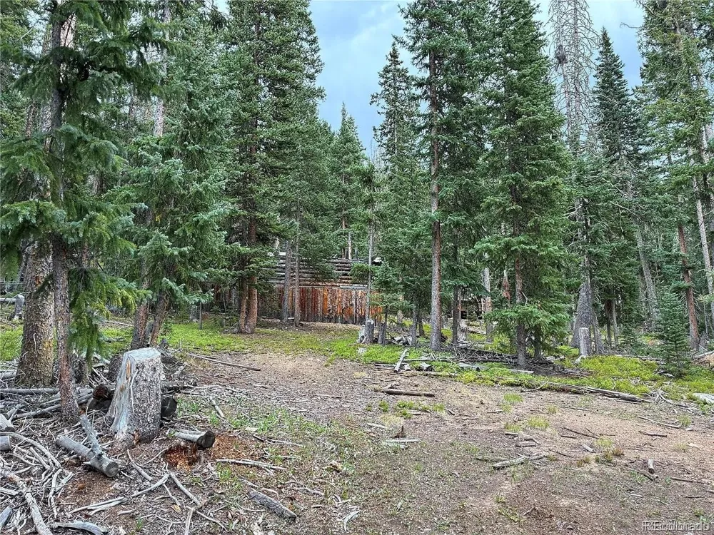 LOT 6621` Clinton Road San Luis, CO 81152