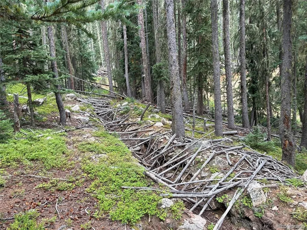 LOT 6621` Clinton Road San Luis, CO 81152
