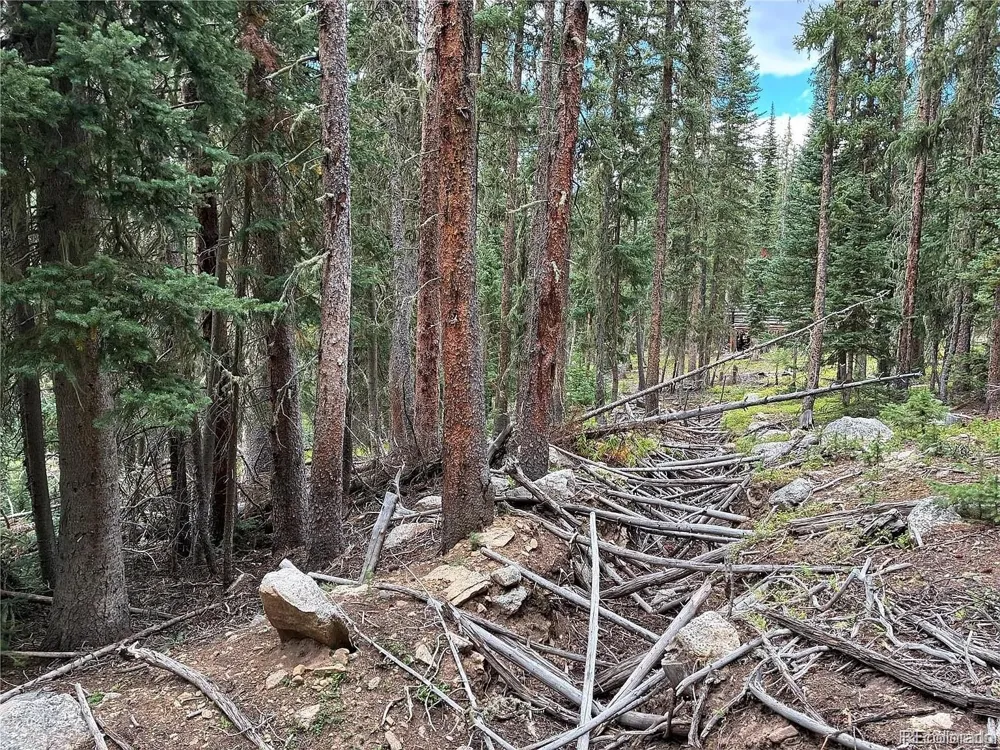LOT 6621` Clinton Road San Luis, CO 81152