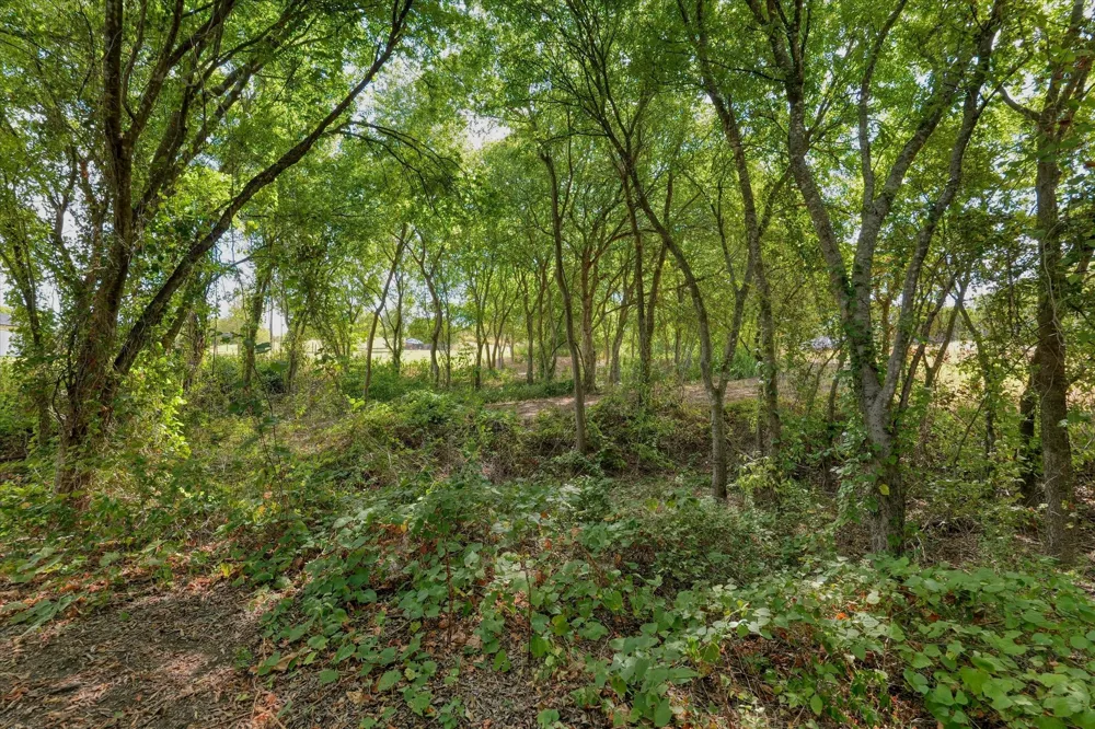 487 Highview Lane Moody, TX 76557