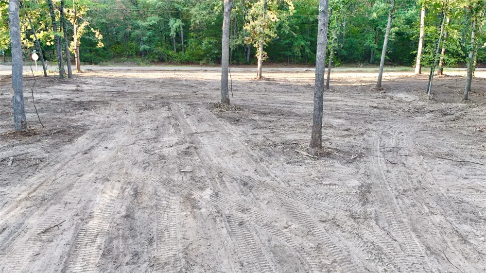 Bluebonnet Trail Mount Vernon, TX 75457