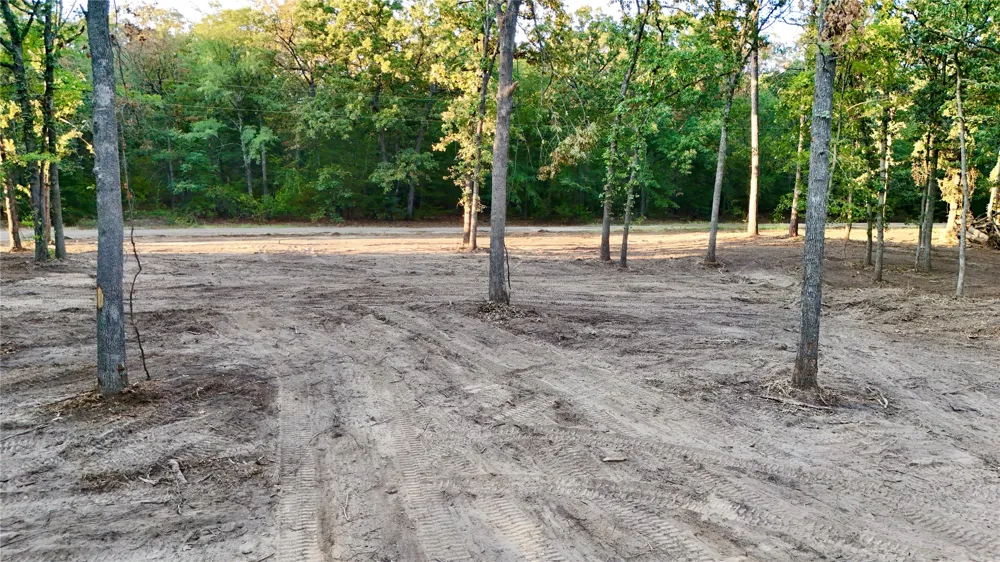 Bluebonnet Trail Mount Vernon, TX 75457