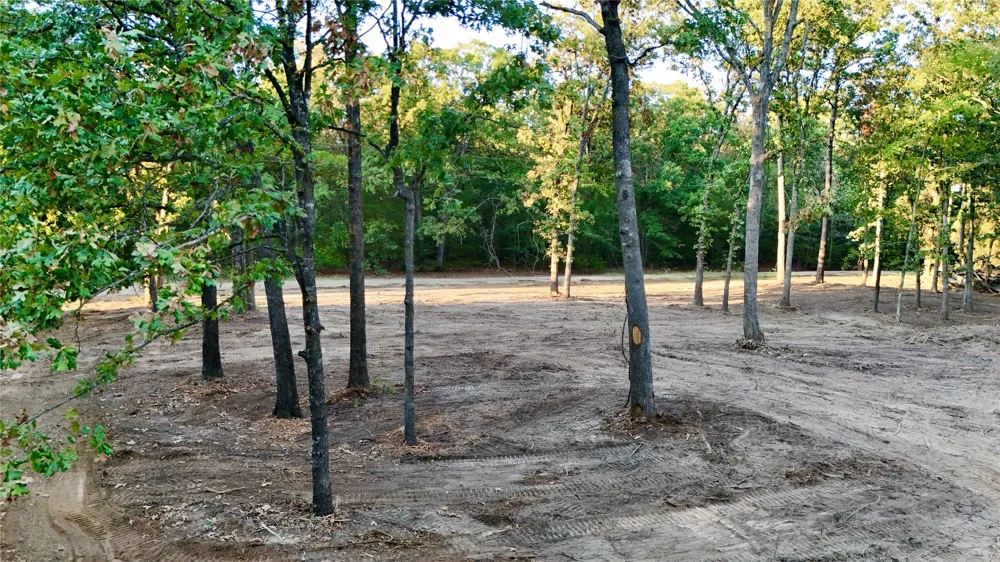 Bluebonnet Trail Mount Vernon, TX 75457