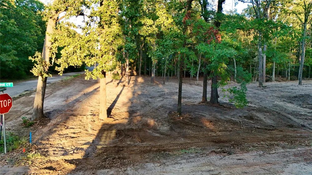 Bluebonnet Trail Mount Vernon, TX 75457