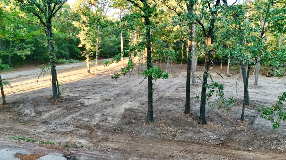 Bluebonnet Trail Mount Vernon, TX 75457