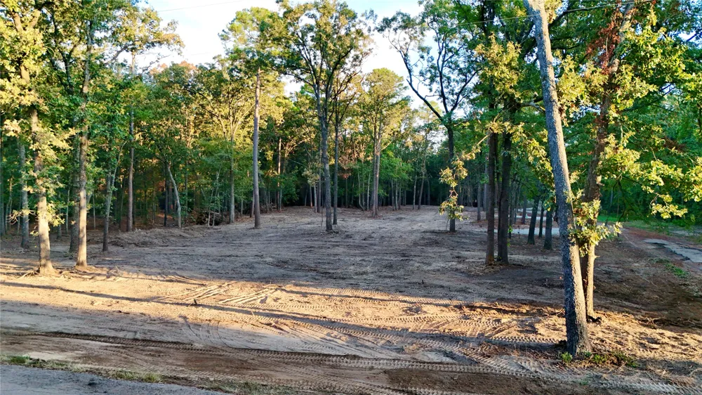 Bluebonnet Trail Mount Vernon, TX 75457
