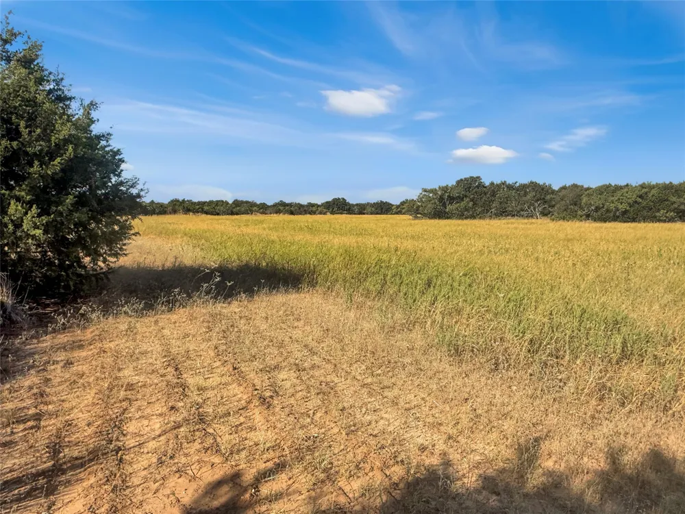 CR 409 Cross Plains, TX 76443