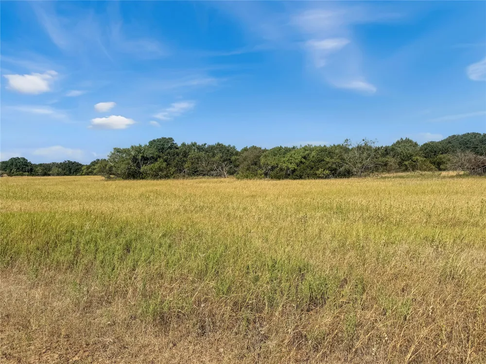 CR 409 Cross Plains, TX 76443