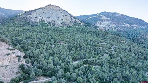 Hubbard Creek
