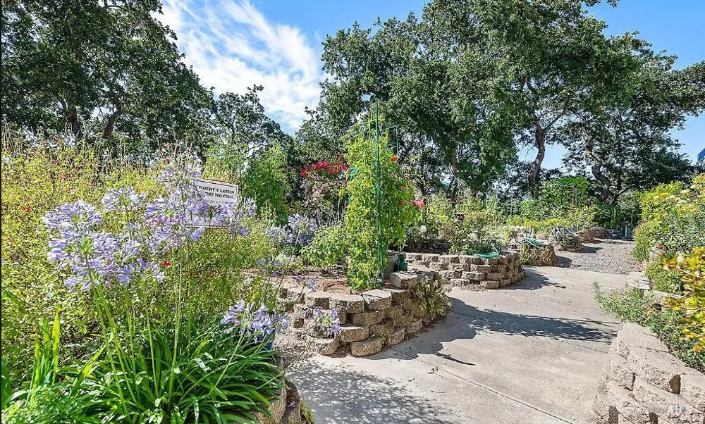 100 Thorndale Drive ##350 San Rafael, CA 94903