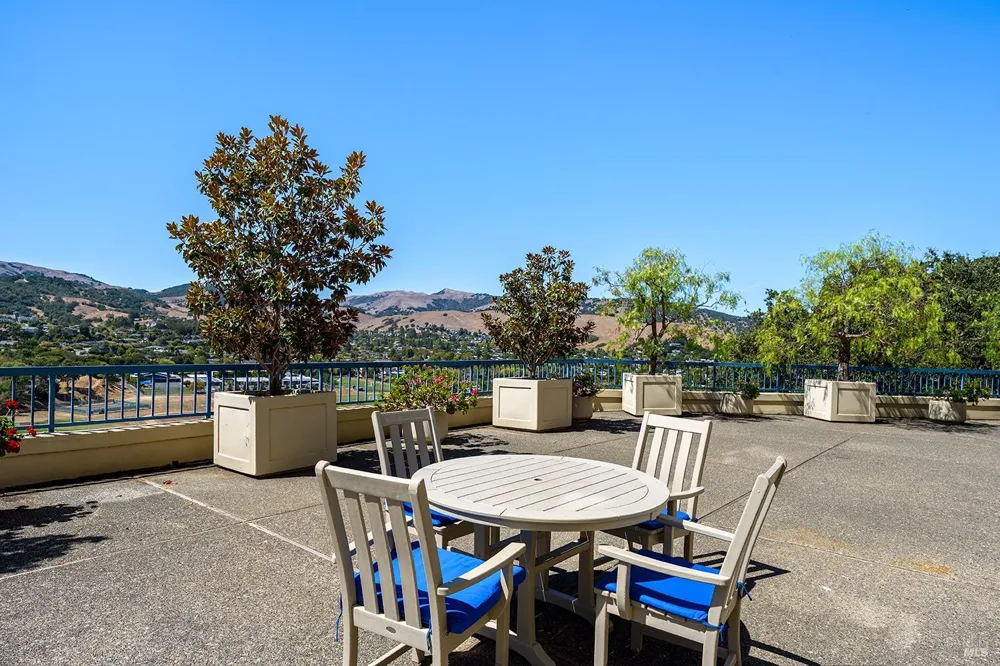 100 Thorndale Drive ##350 San Rafael, CA 94903