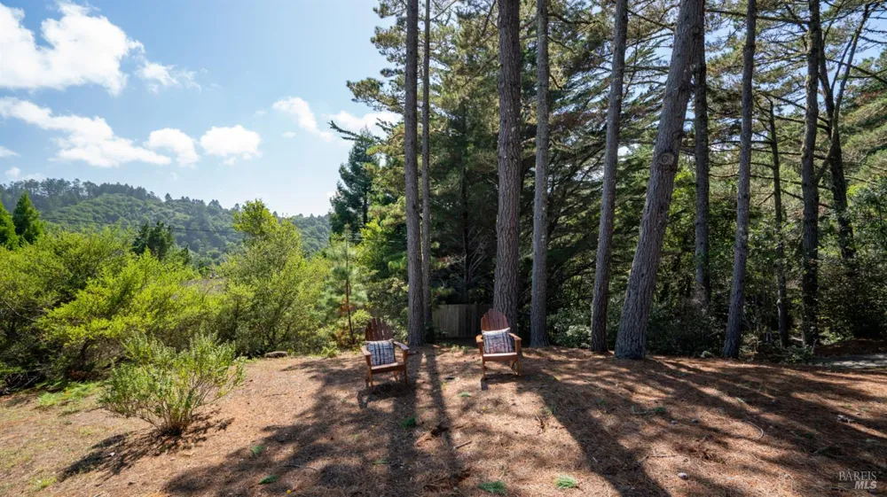 90 Dover Road Inverness, CA 94937